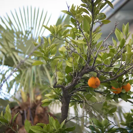 Vendégház M Mostar