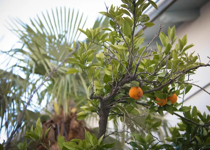 ゲストハウス M モスタル